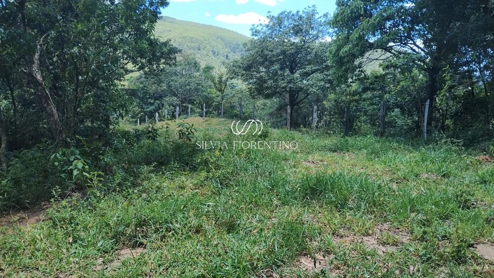 Terreno, 9 hectares - Foto 4