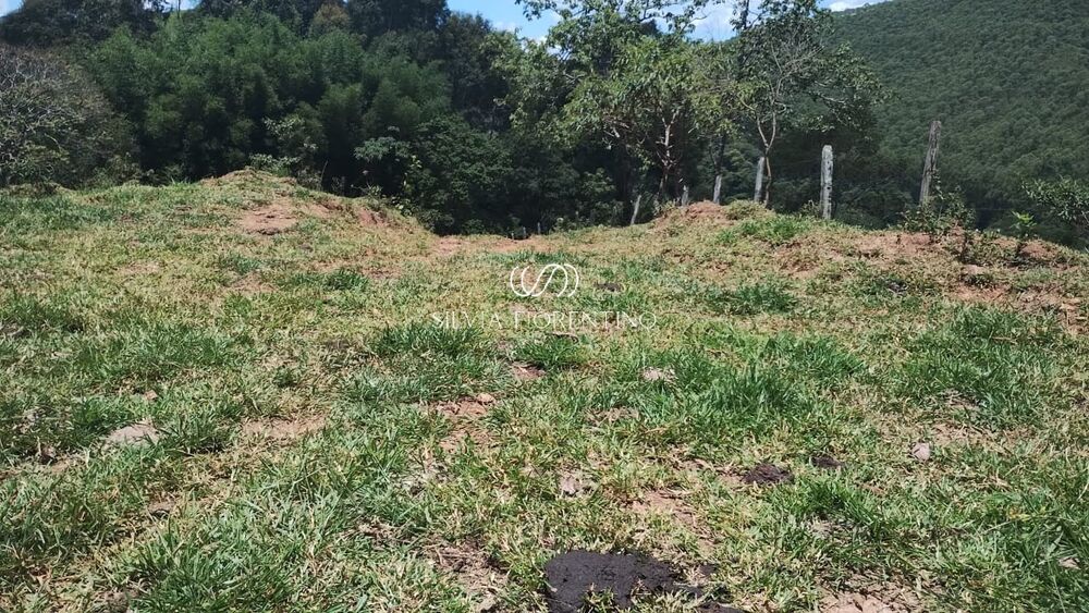 Terreno, 9 hectares - Foto 3