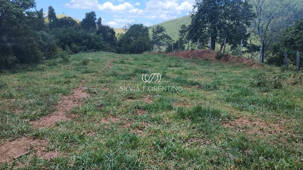 Terreno, 9 hectares - Foto 2