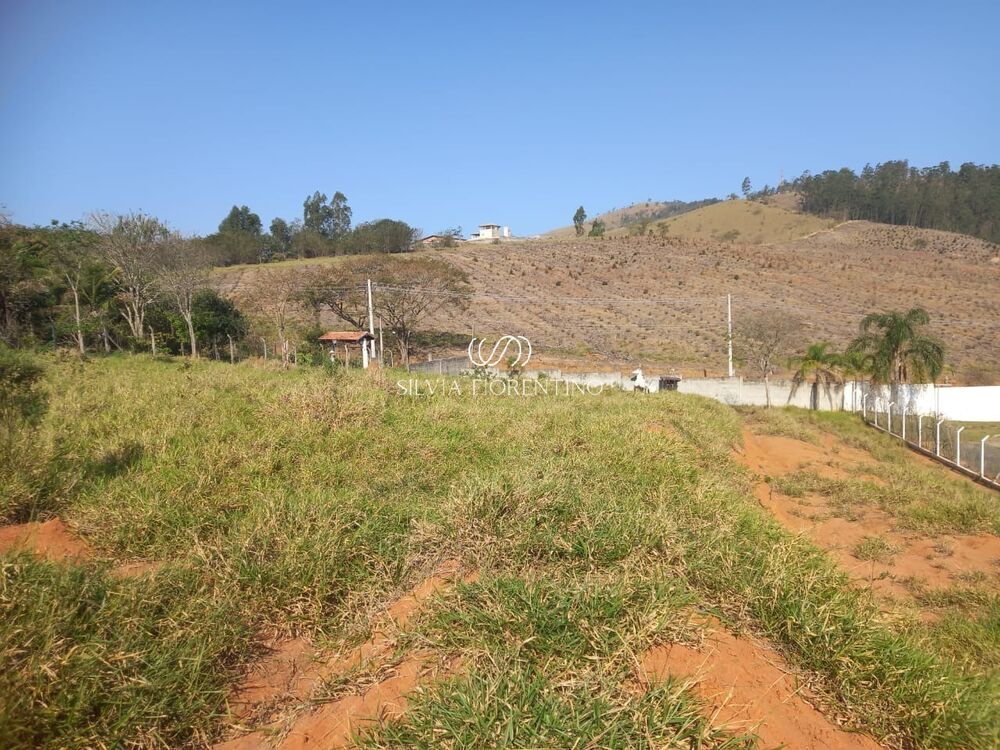 Terreno, 2 hectares - Foto 3