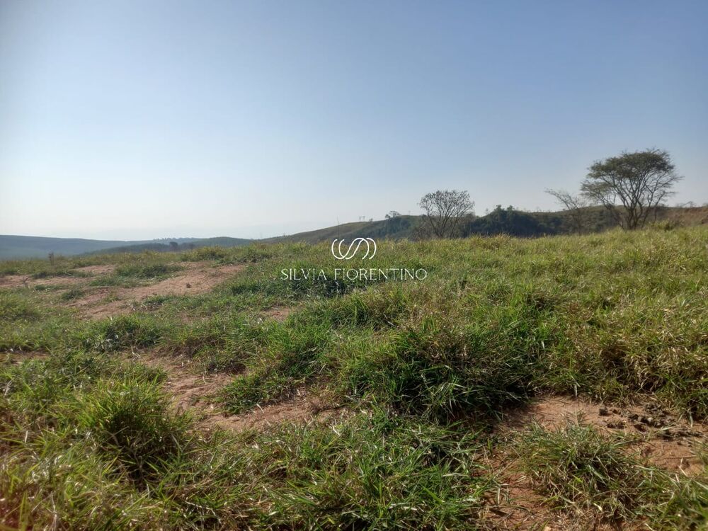 Terreno, 2 hectares - Foto 4