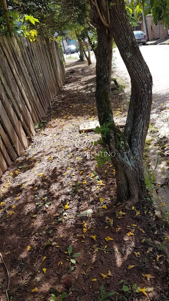 Terreno à venda, 2770m² - Foto 5