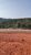 Terreno, 250 m² - Foto 1