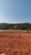 Terreno, 250 m² - Foto 2