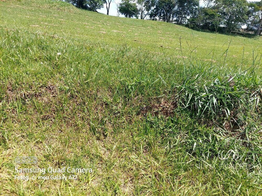 Terreno, 1114 m² - Foto 2