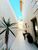 Casa, 3 quartos, 217 m² - Foto 4