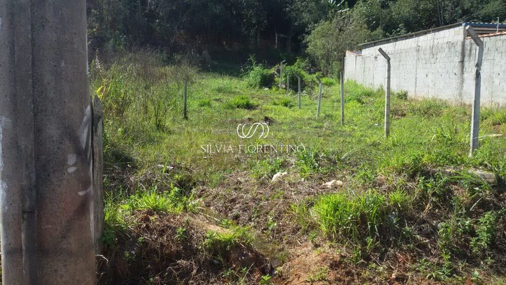 Terreno, 125 m² - Foto 2