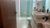 Casa, 3 quartos, 250 m² - Foto 2