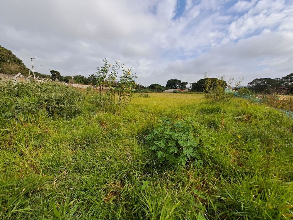 Terreno, 1078 m² - Foto 4