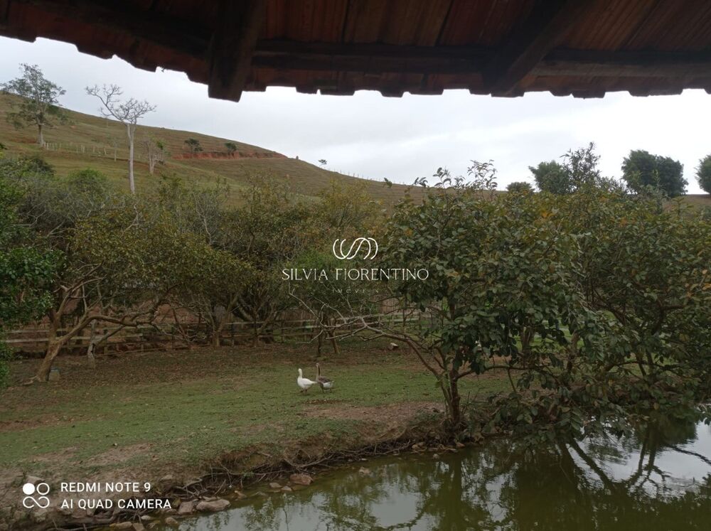 Sítio, 3 quartos, 3 hectares - Foto 7