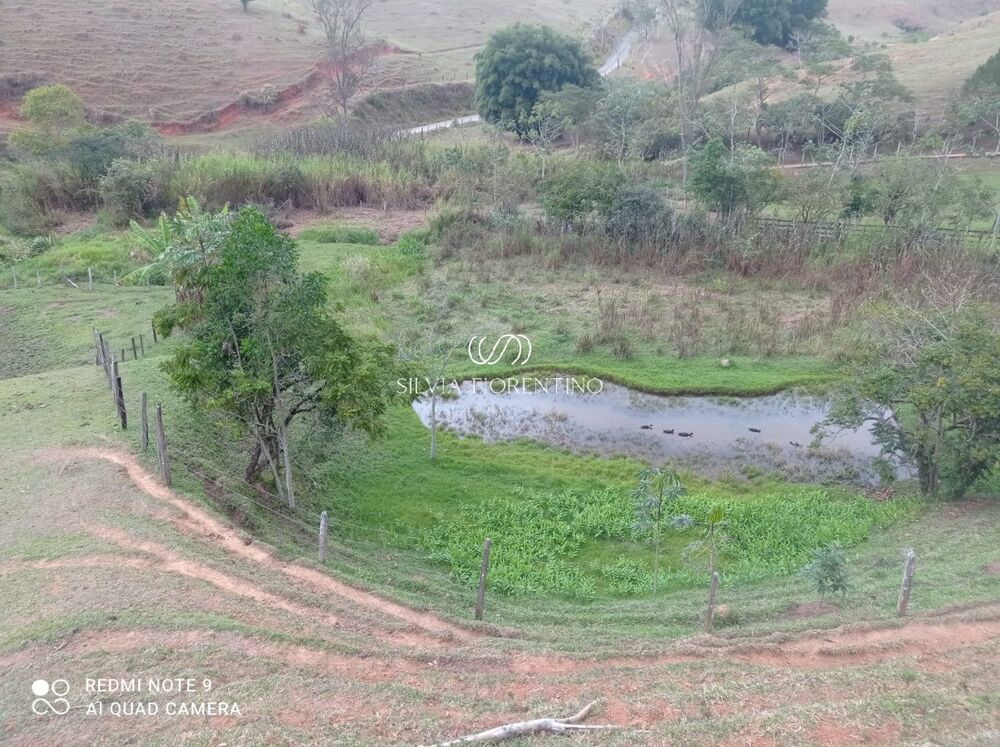 Sítio, 3 quartos, 3 hectares - Foto 2