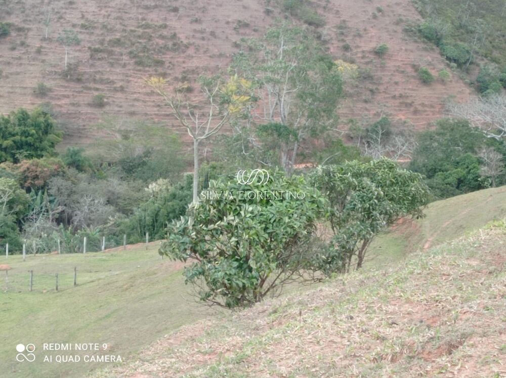 Sítio, 3 quartos, 3 hectares - Foto 23