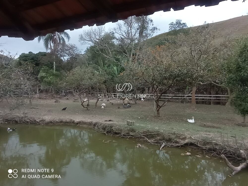 Sítio, 3 quartos, 3 hectares - Foto 8