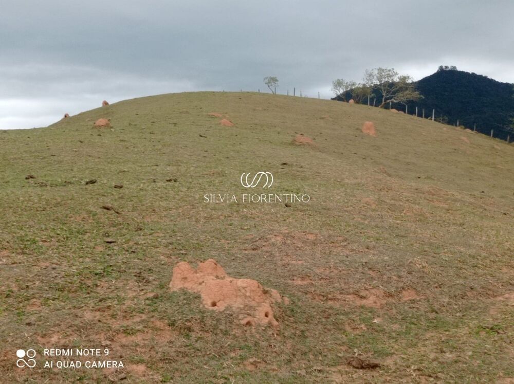 Sítio, 3 quartos, 3 hectares - Foto 32