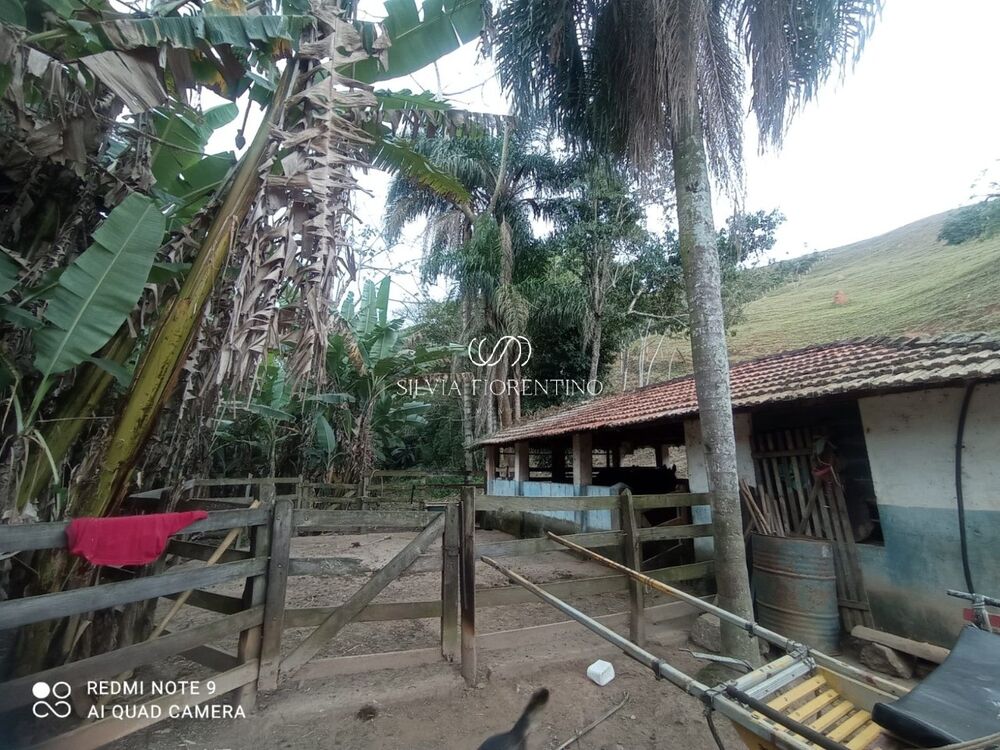 Sítio, 3 quartos, 3 hectares - Foto 14