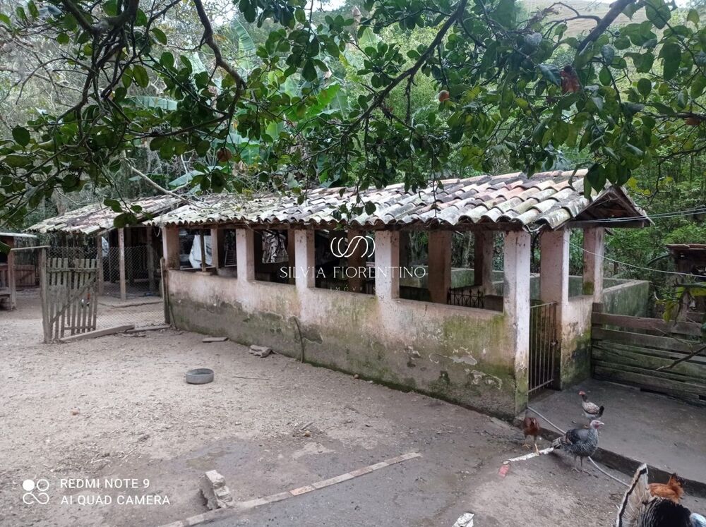 Sítio, 3 quartos, 3 hectares - Foto 3