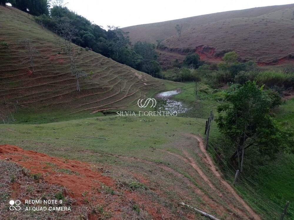 Sítio, 3 quartos, 3 hectares - Foto 1