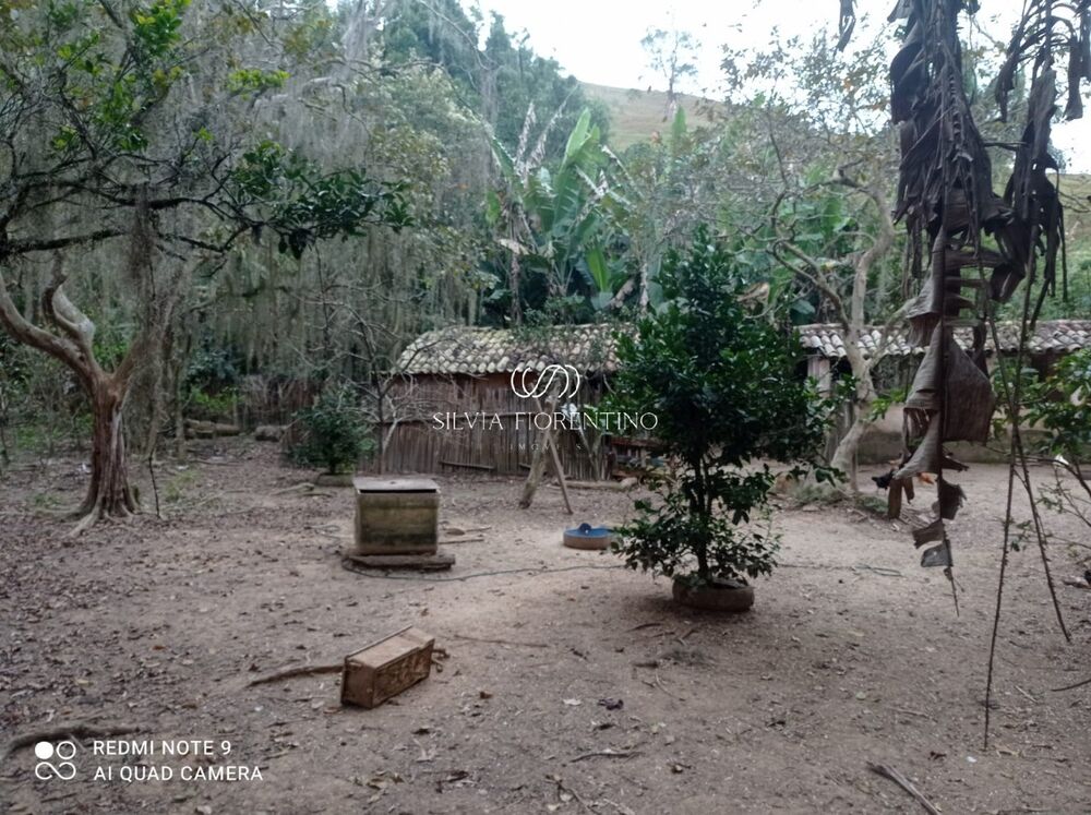 Sítio, 3 quartos, 3 hectares - Foto 9