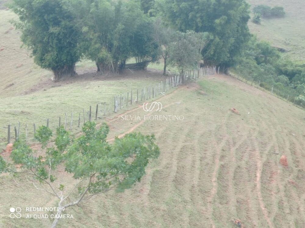 Sítio, 3 quartos, 3 hectares - Foto 22