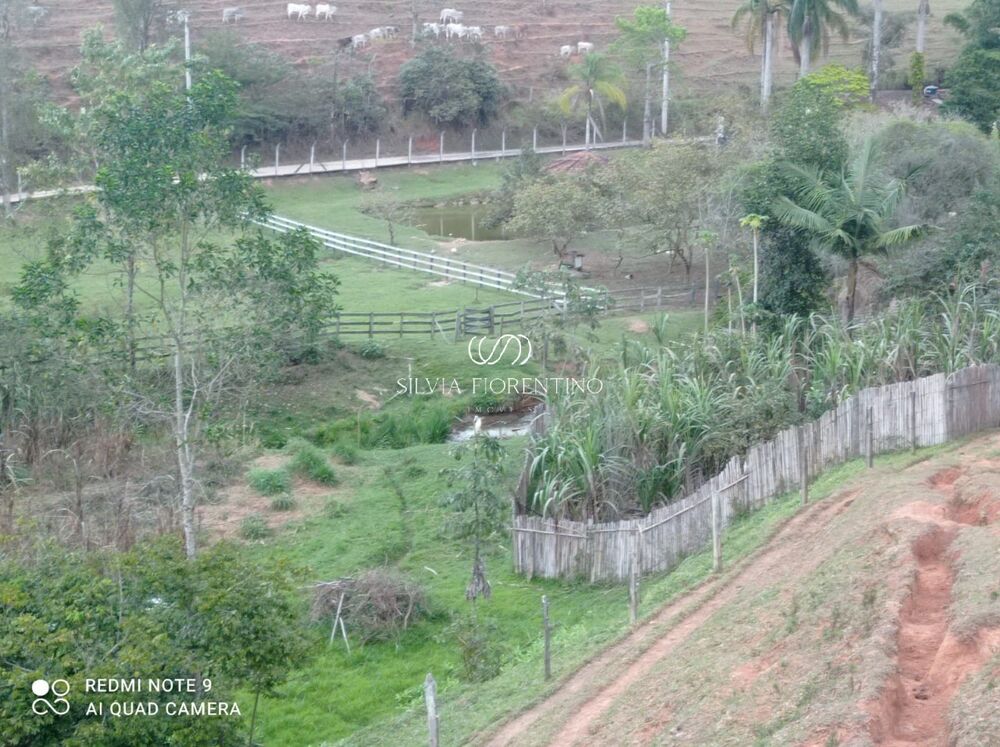 Sítio, 3 quartos, 3 hectares - Foto 19