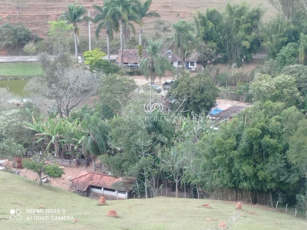 Sítio, 3 quartos, 3 hectares - Foto 30