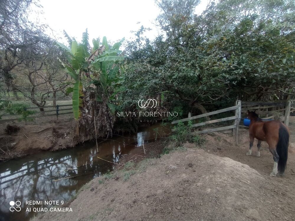 Sítio, 3 quartos, 3 hectares - Foto 16