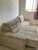 Apartamento, 2 quartos, 64 m² - Foto 6