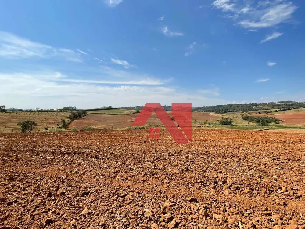 Fazenda, 145 hectares - Foto 2
