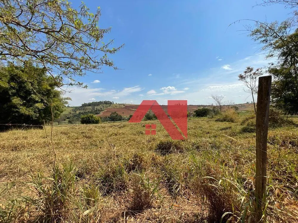 Fazenda, 145 hectares - Foto 4