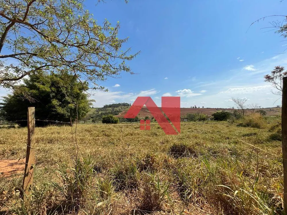 Fazenda, 145 hectares - Foto 5