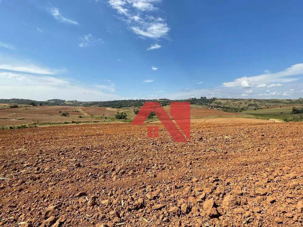 Fazenda, 145 hectares - Foto 3
