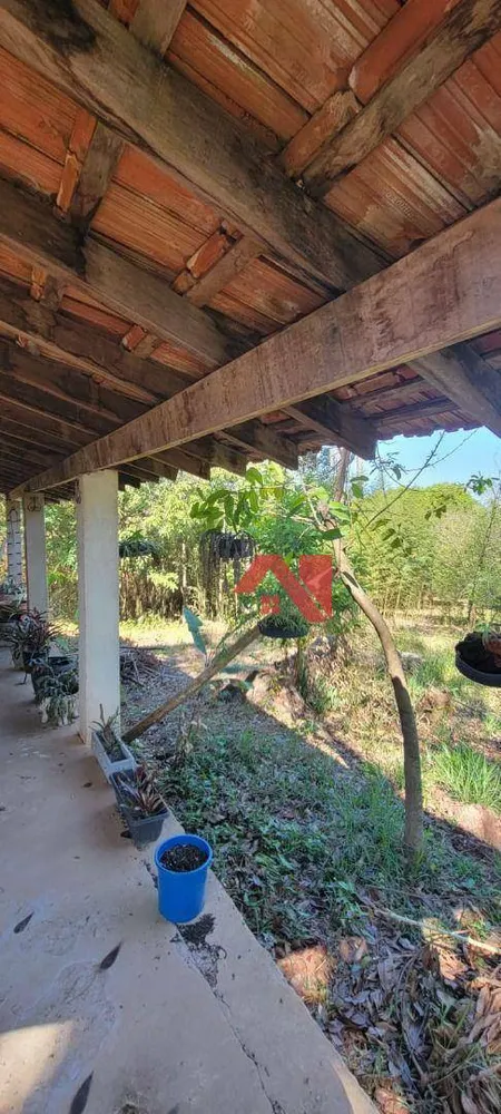 Chácara, 4 quartos, 5500 m² - Foto 12