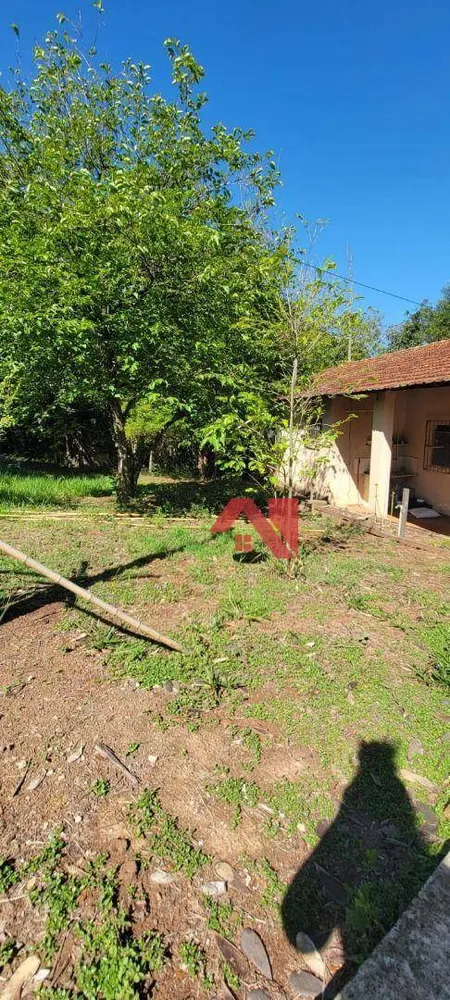 Chácara, 4 quartos, 5500 m² - Foto 6