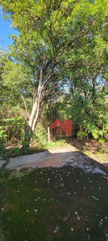 Chácara, 4 quartos, 5500 m² - Foto 11