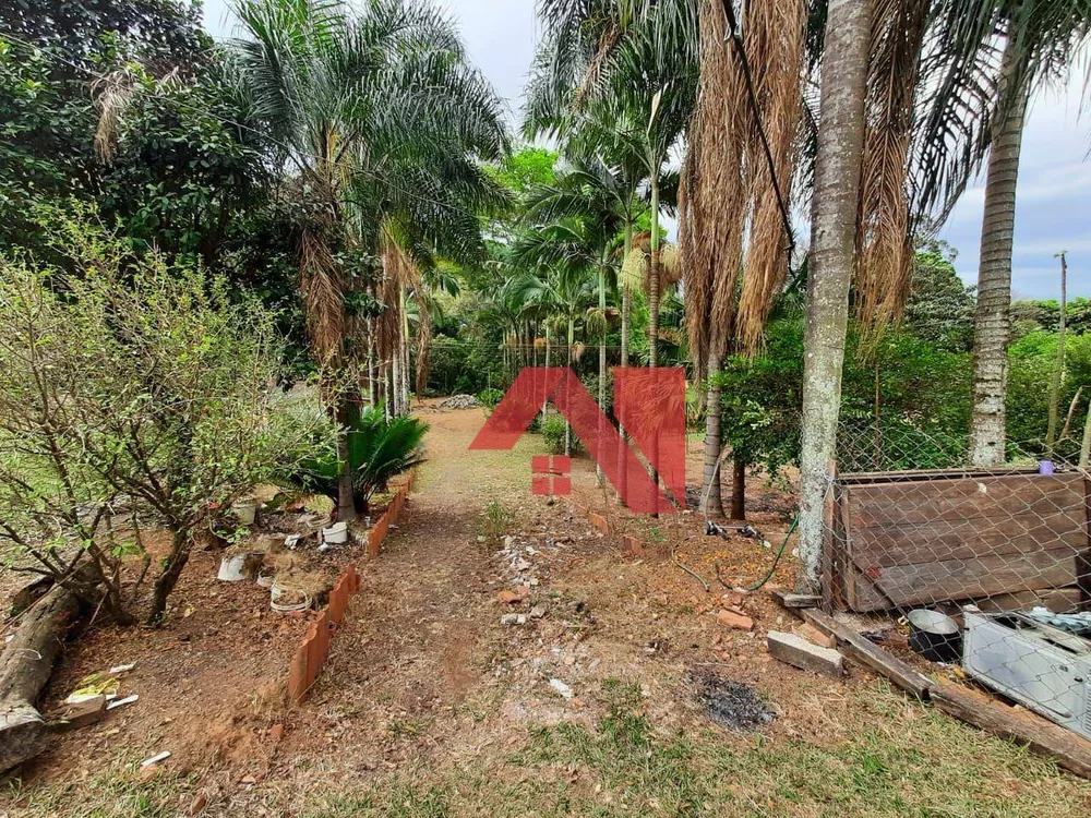 Chácara, 2 quartos, 10000 m² - Foto 12