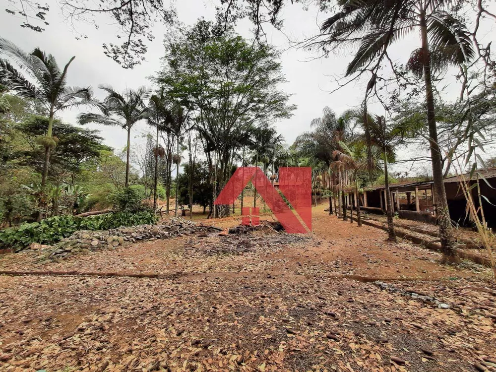 Chácara, 2 quartos, 10000 m² - Foto 18