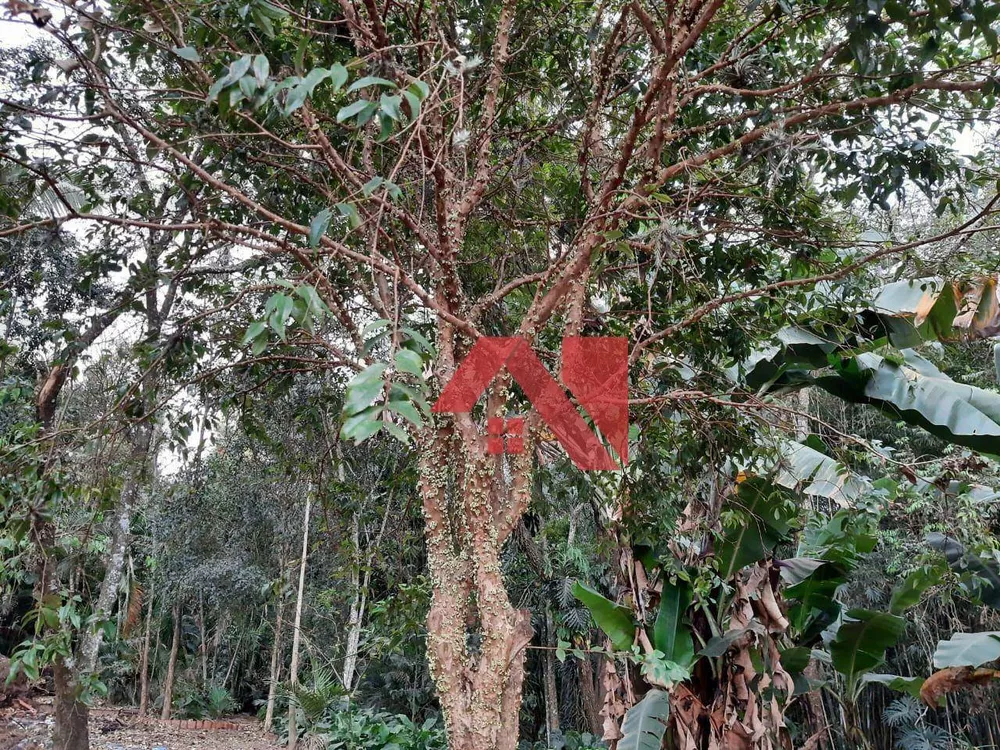 Chácara, 2 quartos, 10000 m² - Foto 33