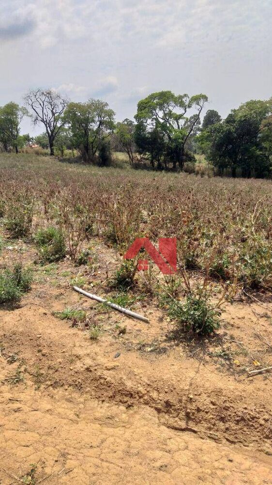 Terreno, 2000 m² - Foto 3