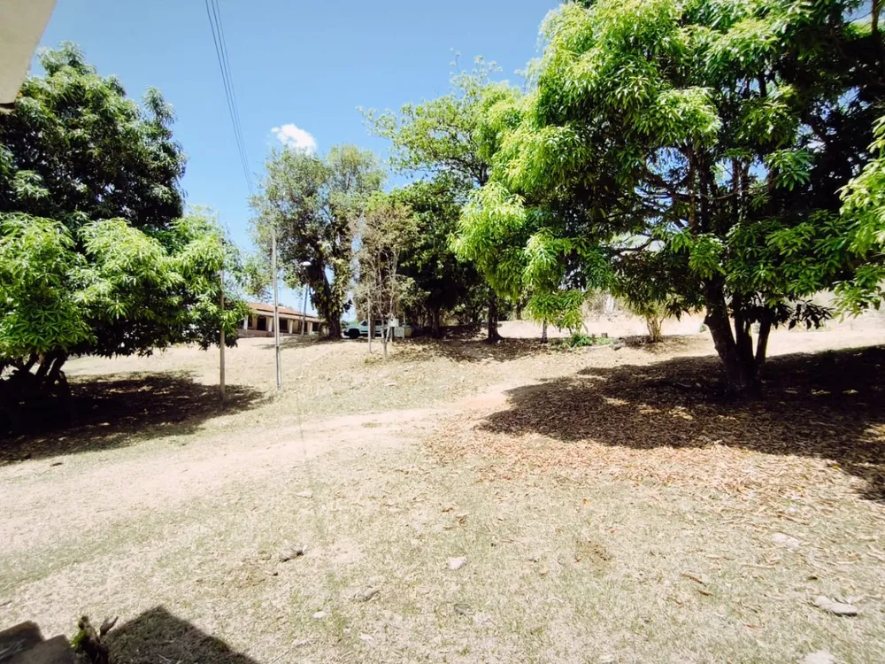 Sítio, 8 quartos, 19 hectares - Foto 13