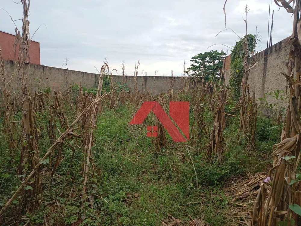 Terreno, 200 m² - Foto 5