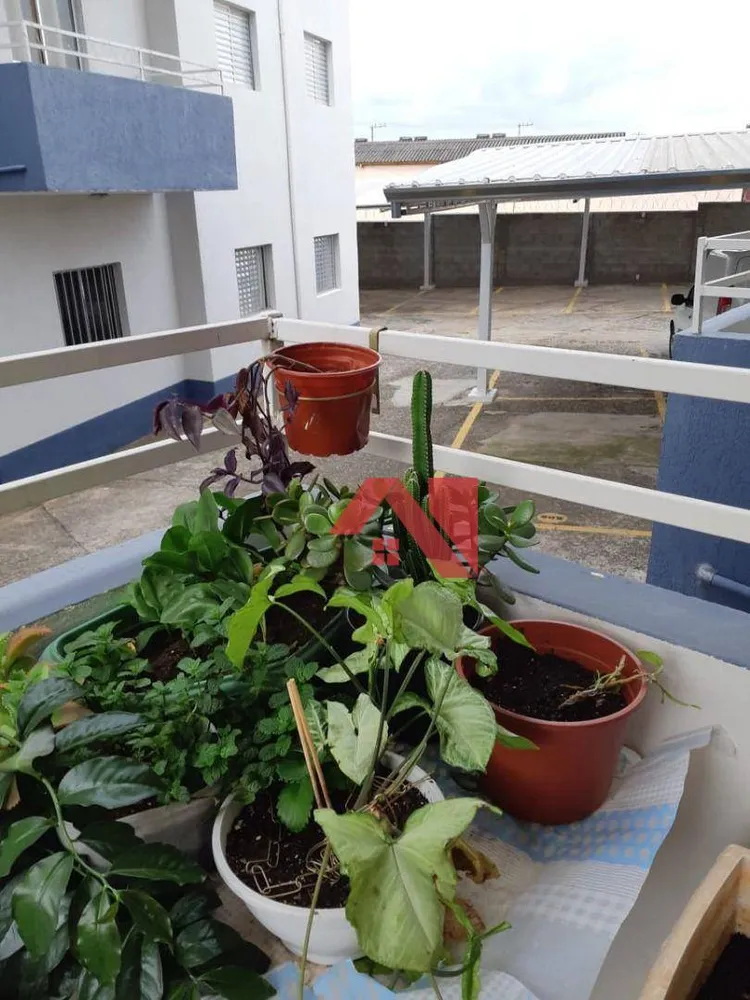 Apartamento, 3 quartos, 74 m² - Foto 5