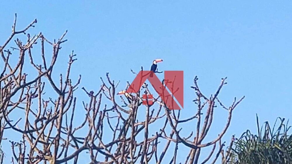 Chácara, 3 quartos, 5 m² - Foto 12