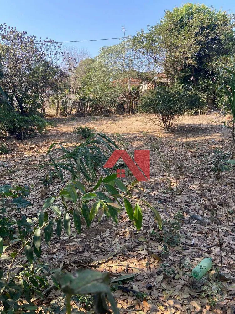 Terreno, 1445 m² - Foto 11