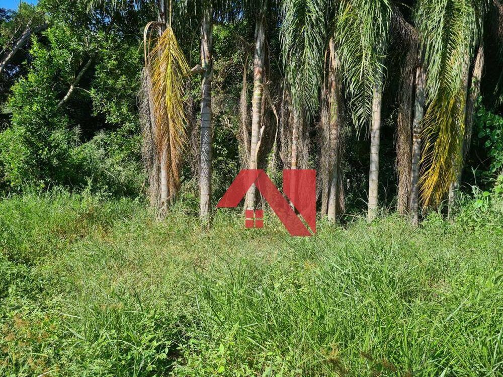 Terreno, 1450 m² - Foto 4