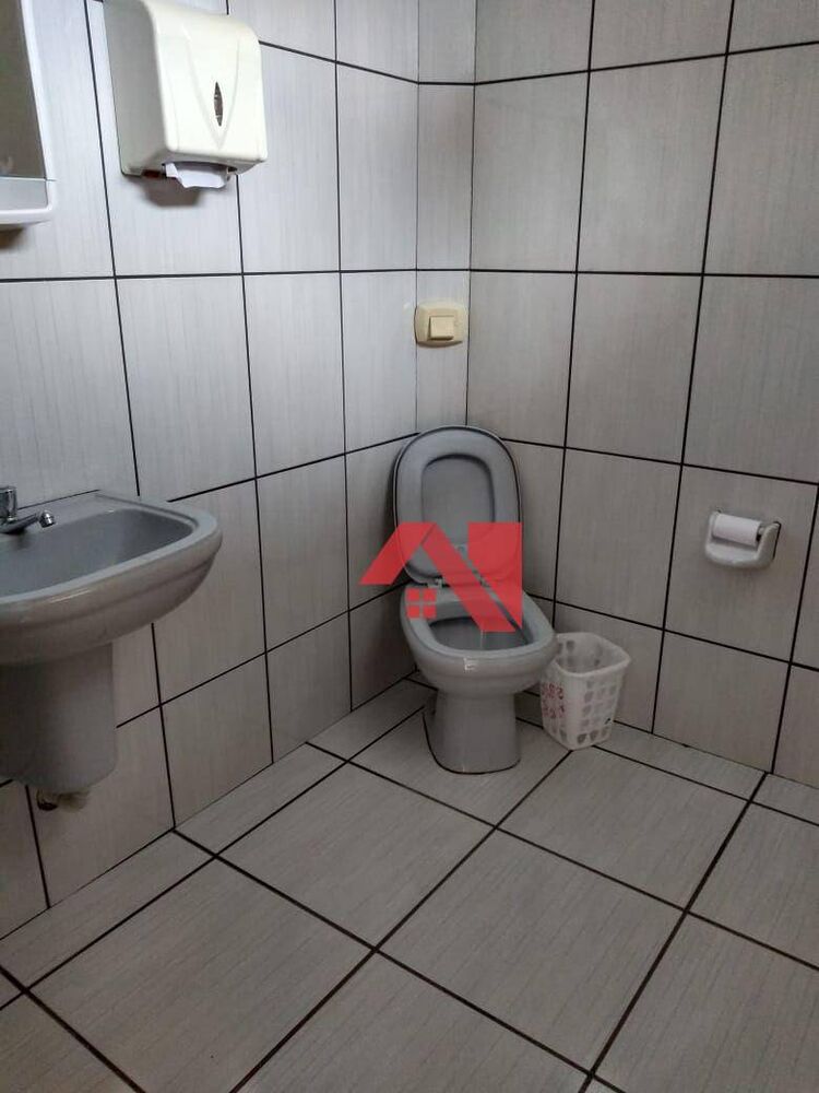 Chácara, 4 quartos, 2480 m² - Foto 4