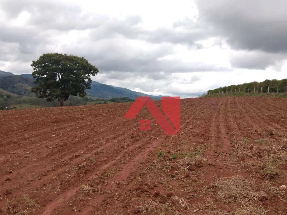 Chácara, 2 quartos, 3 hectares - Foto 7