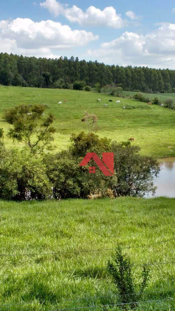 Sítio, 24 hectares - Foto 10