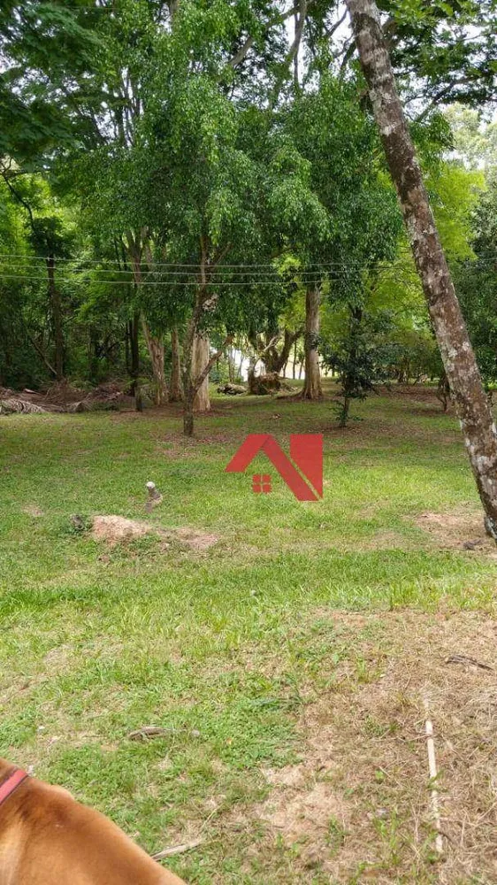Sítio, 24 hectares - Foto 15