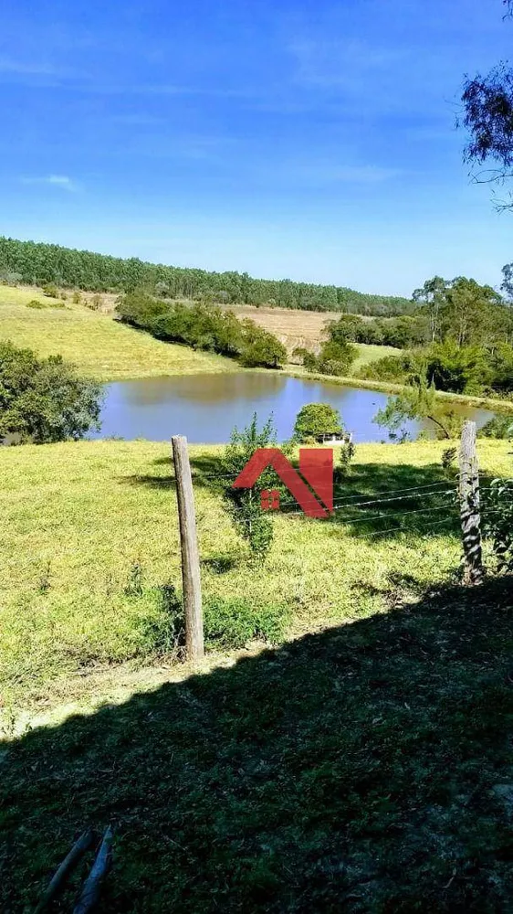 Sítio, 24 hectares - Foto 12