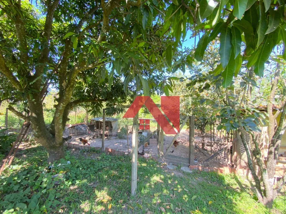 Chácara, 2 quartos, 6000 m² - Foto 1